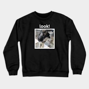 Cute Black Husky Dog Looking Away White Design Crewneck Sweatshirt